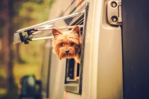 pet-friendly RV camping near Omaha