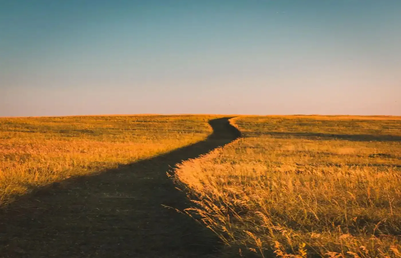 Dirt road winding through golden Nebraska prairie at sunset
